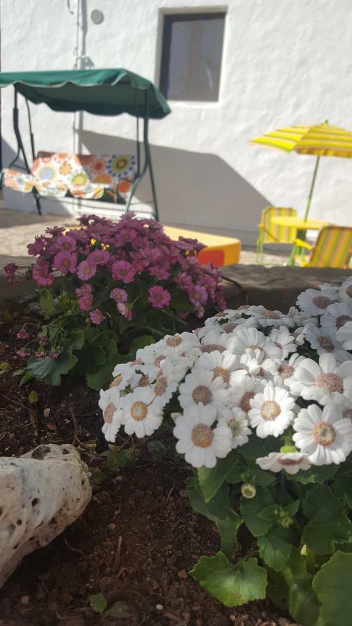 Willa Trullo Amicizia Alberobello Zewnętrze zdjęcie